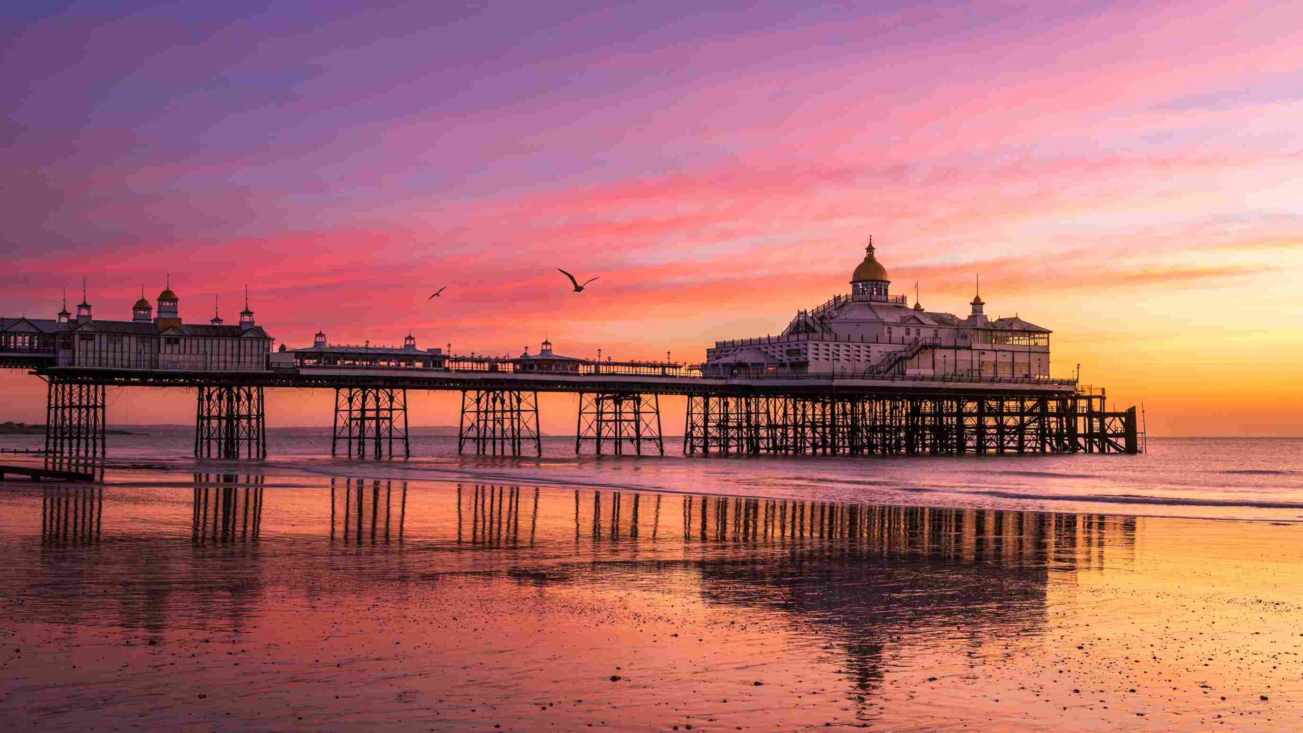 shutterstock_2126394470_11zon-scaled